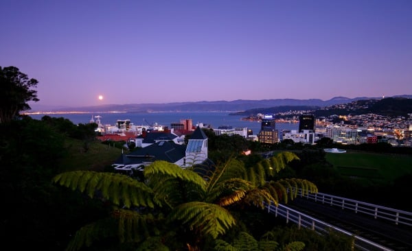 wellington