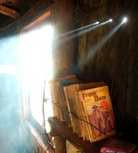 proper huts have book shelves