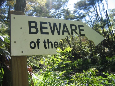 beware of the